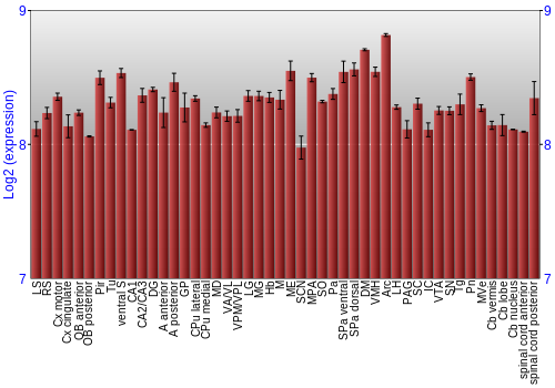 Multi-state expression graph