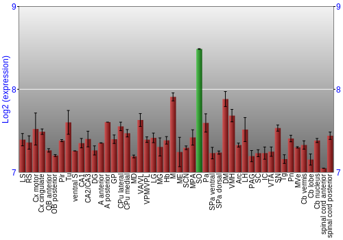 Multi-state expression graph