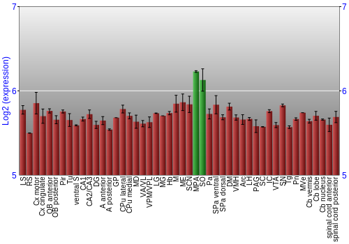 Multi-state expression graph