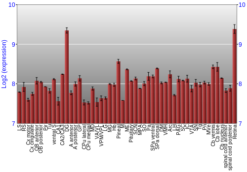 Expression graph