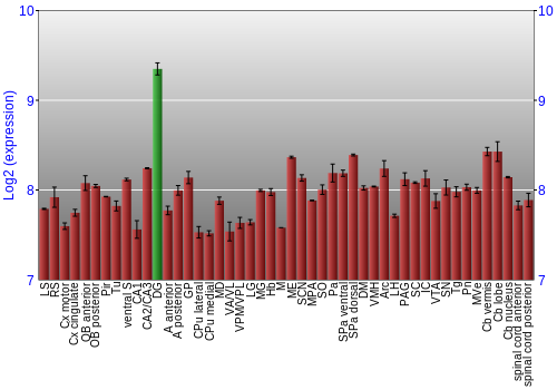 Multi-state expression graph