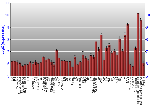 Expression graph