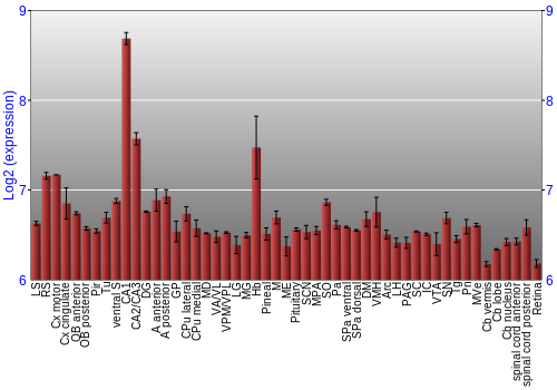 Expression graph