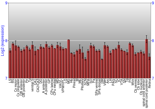Expression graph
