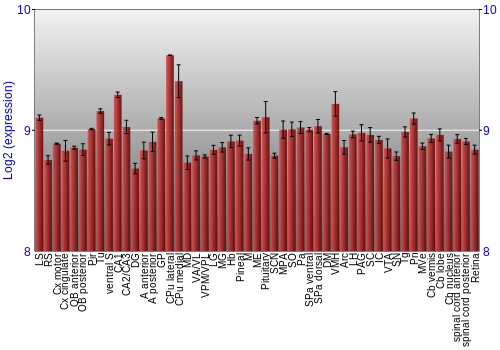 Expression graph