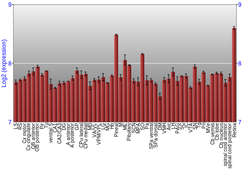 Expression graph