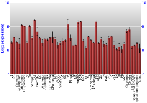 Expression graph