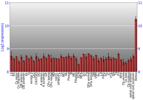 Expression graph