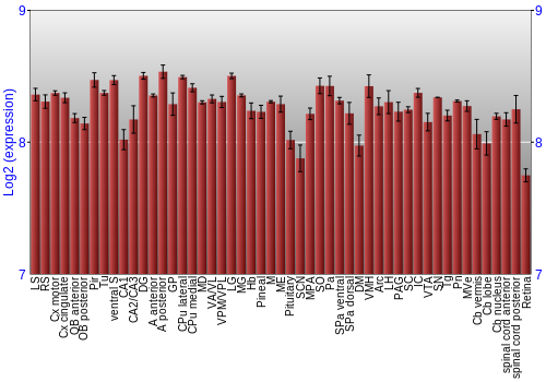 Expression graph