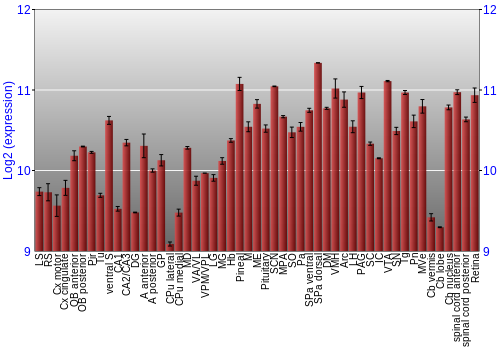 Expression graph