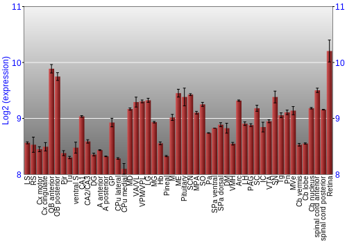 Expression graph