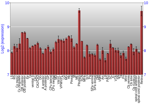 Expression graph