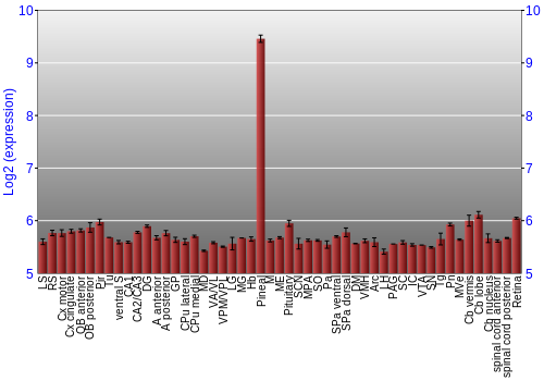 Expression graph
