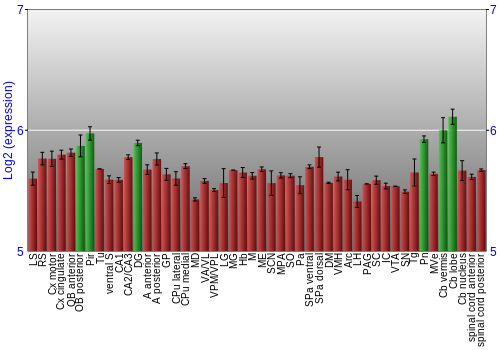 Multi-state expression graph