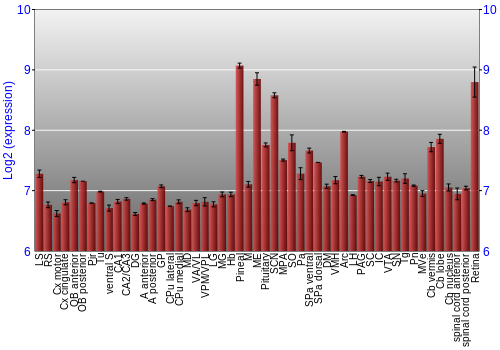 Expression graph