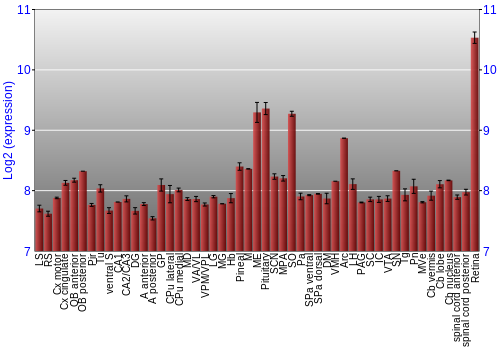 Expression graph