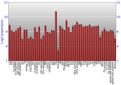 Expression graph