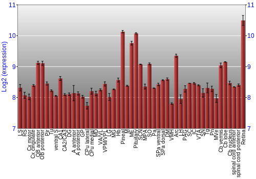 Expression graph