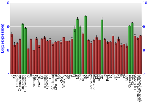 Multi-state expression graph