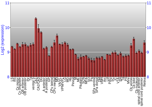 Expression graph