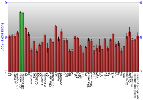 Multi-state expression graph