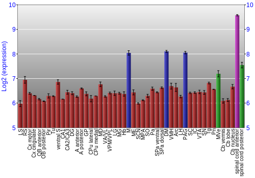 Multi-state expression graph