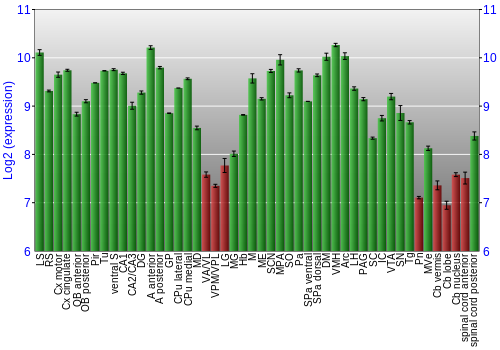 Multi-state expression graph