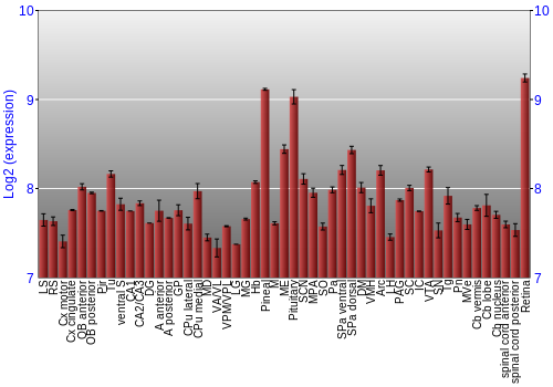 Expression graph