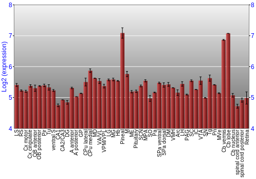 Expression graph
