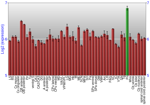 Multi-state expression graph