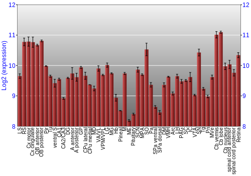 Expression graph