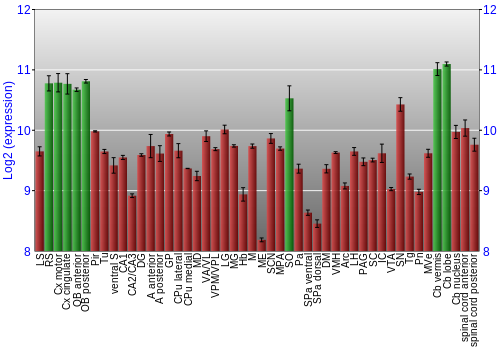 Multi-state expression graph