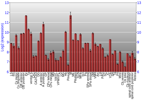 Expression graph