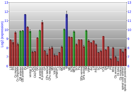 Multi-state expression graph