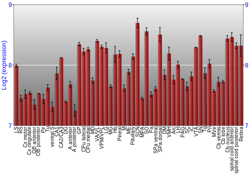 Expression graph