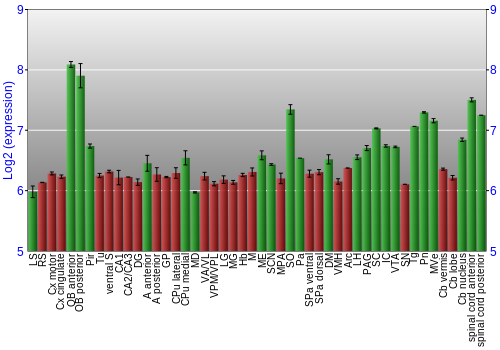 Multi-state expression graph