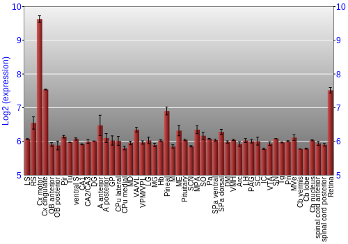 Expression graph
