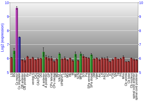 Multi-state expression graph