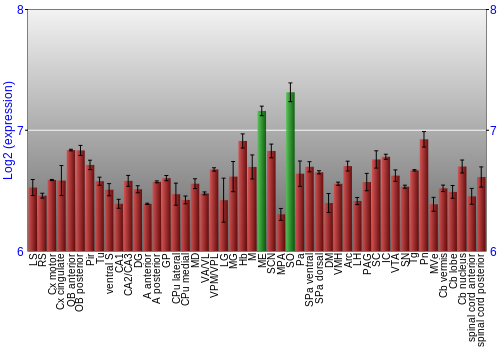 Multi-state expression graph