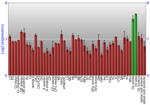 Multi-state expression graph