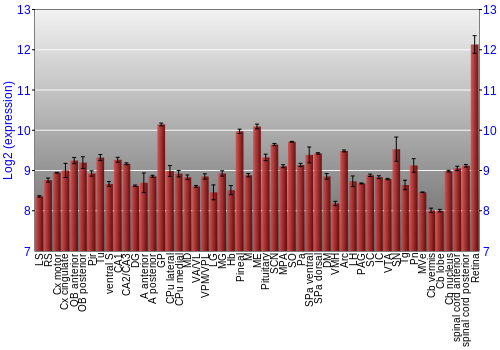 Expression graph