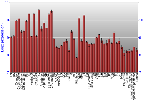 Expression graph