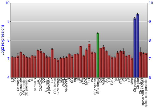 Multi-state expression graph