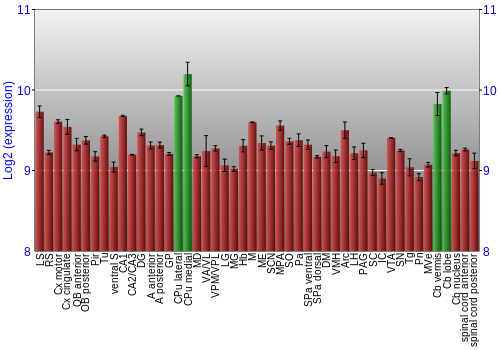 Multi-state expression graph