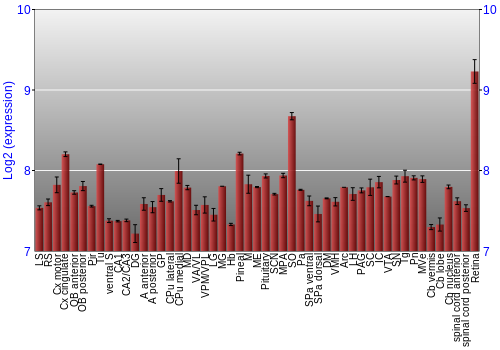 Expression graph