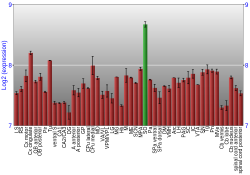 Multi-state expression graph