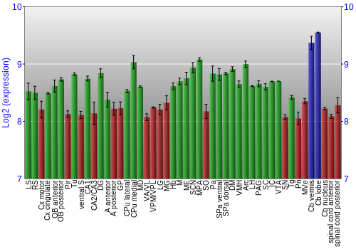 Multi-state expression graph