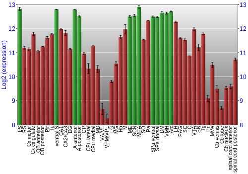 Multi-state expression graph