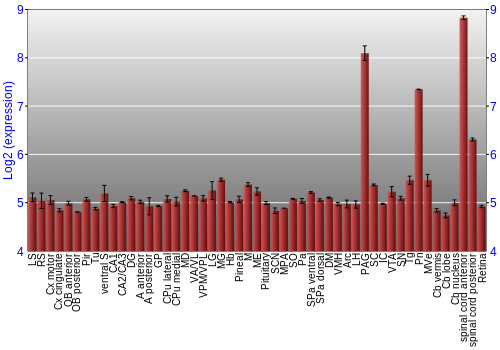 Expression graph