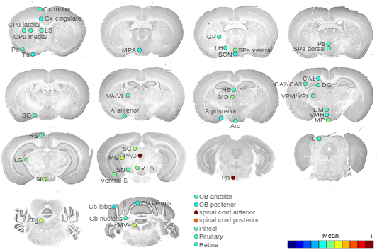 Expression map